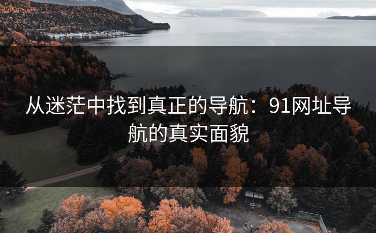 从迷茫中找到真正的导航：91网址导航的真实面貌